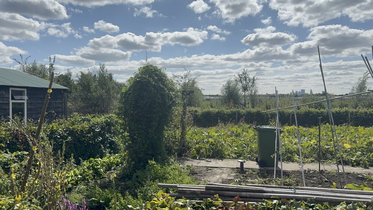 Belevenisboerderij Schieveen