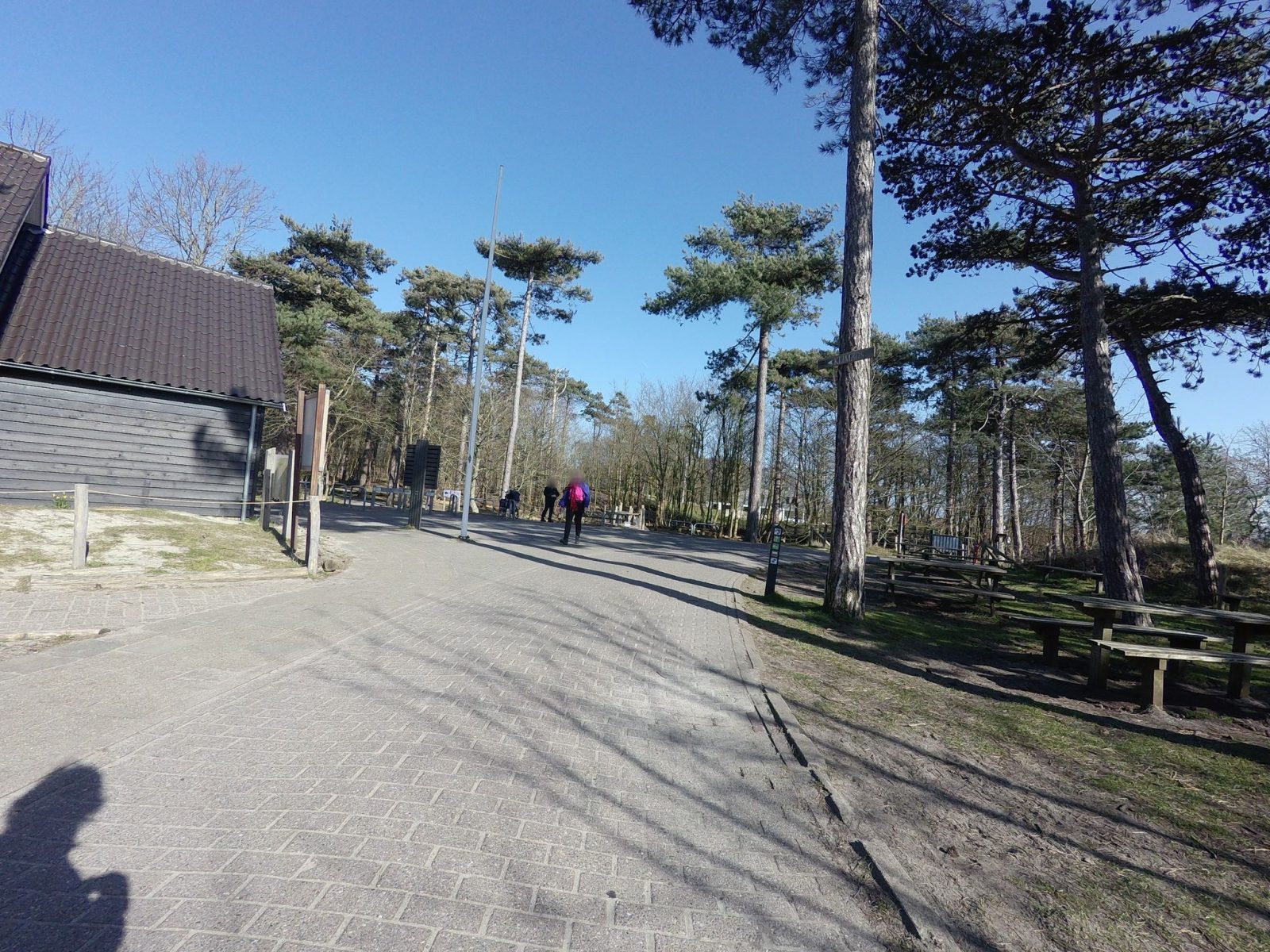 Klimbos Zeeland Westerschouwen