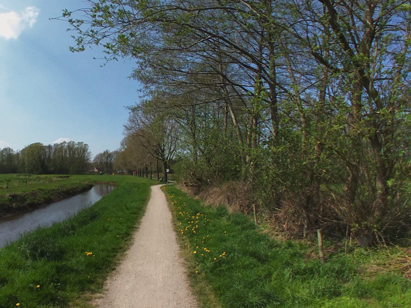 Speel- en IJsboerderij De Drentse Koe